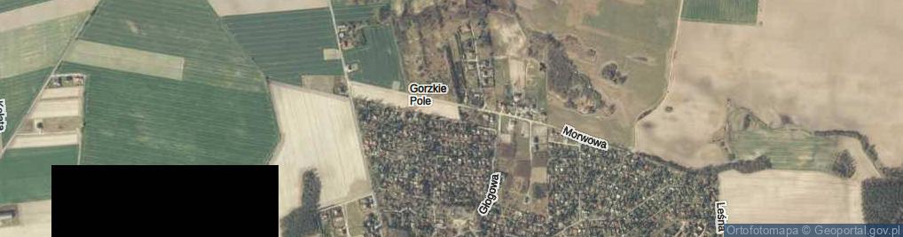 Zdjęcie satelitarne Gorzkie Pole ul.